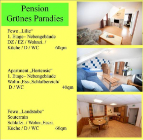Ferienwohnung Hortensie Pension Grünes Paradies, Grebenhain